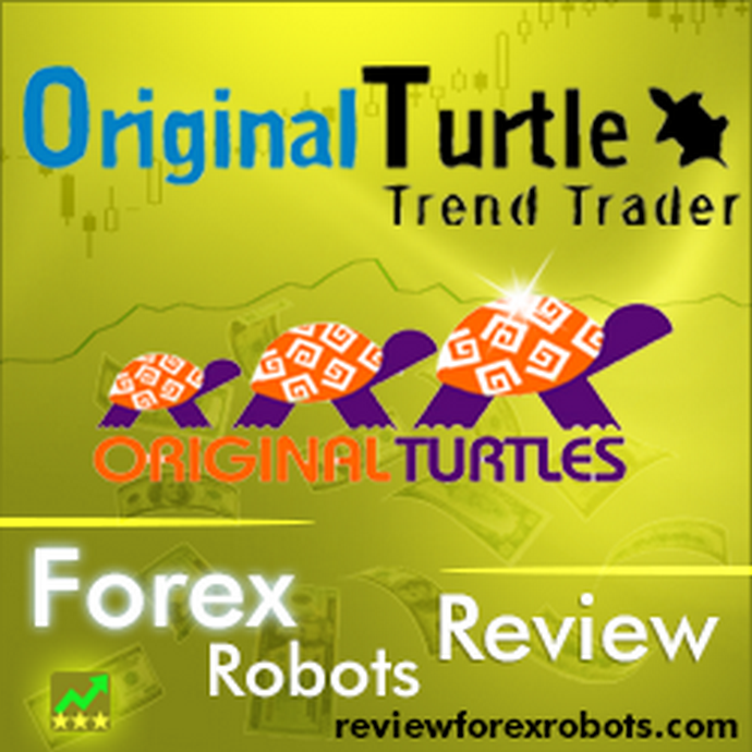 访问 Original Turtle Trader 网站